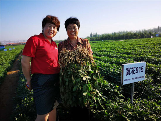 【喜庆2019中国农民丰收节】河北省农业农村发展