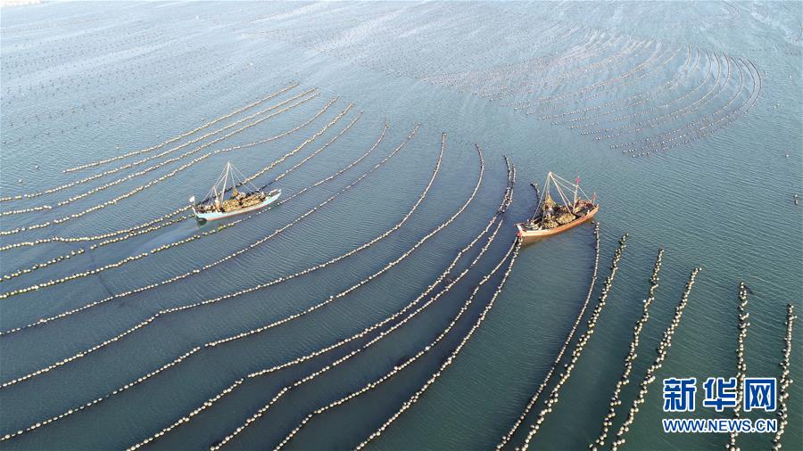 服务长三角区域一体化协同发展战略 推进沪甬校