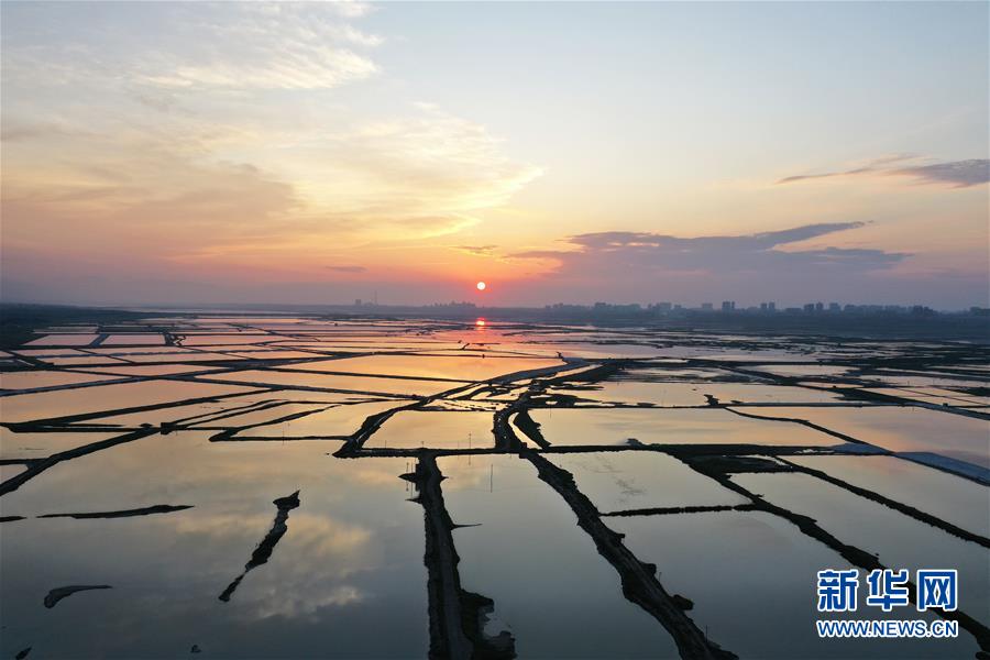 服务长三角区域一体化协同发展战略 推进沪甬校