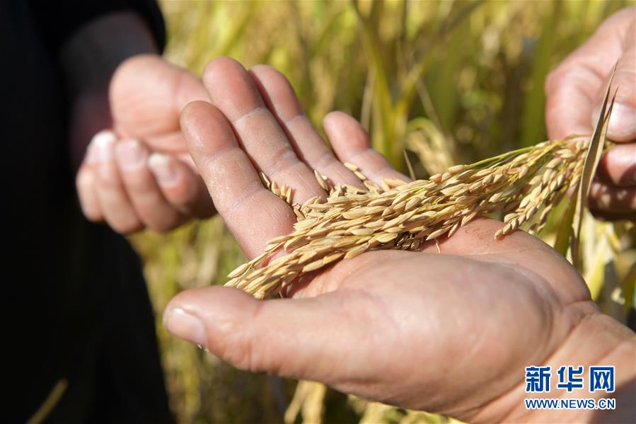 服务长三角区域一体化协同发展战略 推进沪甬校