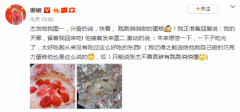 张杰赞女儿做蛋糕美味 谢娜：之前也这么夸我的