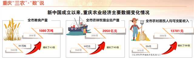 “三农”迈向高质量发展 农业强农村美农民富