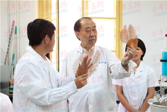 致敬！管华诗等10人获评2019“青岛最美科技工作者”
