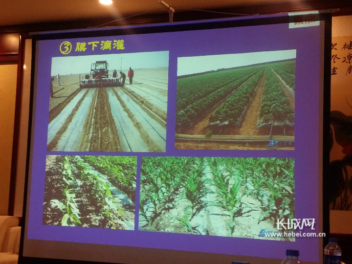 河北省重大科技成果转化专项大田作物新型节水