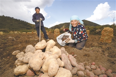 我省奋力描绘高原乡村全面振兴新画卷