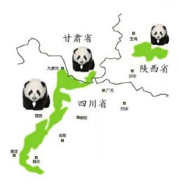 四川建设大熊猫国家公园两年间