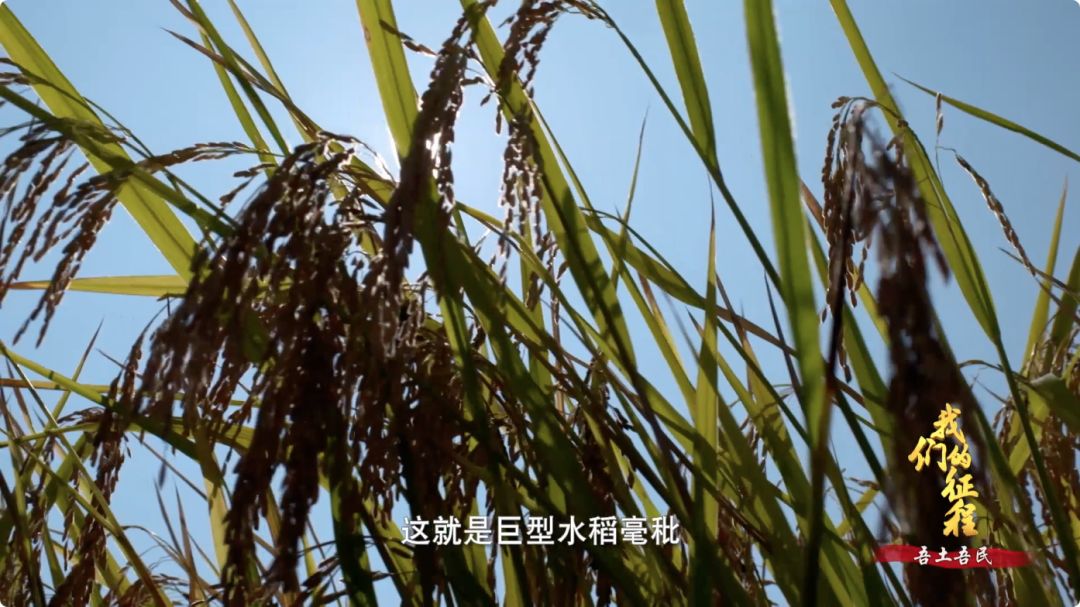 d106415893c9ba7bfd64f0d3a3c018ab.jpeg