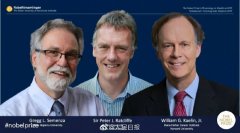 重磅！氧气感知研究获2019生理学诺奖，知名私募