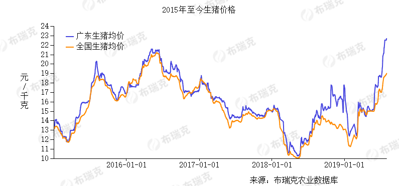 非洲猪瘟一周年:疫情仍在全球蔓延 行业迎整合期