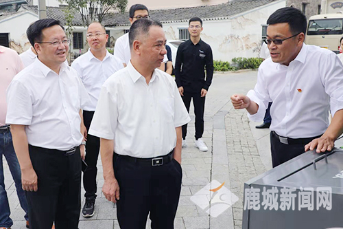 鹿城区委书记姜景峰陪同省政府咨询委员会调研