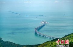 专业界人士汇聚香港 研讨粤港澳大湾区跨界合作