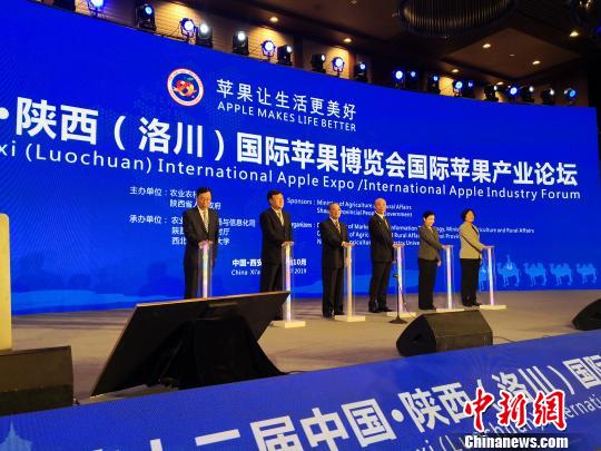 第十二届中国？陕西(洛川)国际苹果博览会国际苹果产业论坛11日在西安召开。　阿琳娜 摄