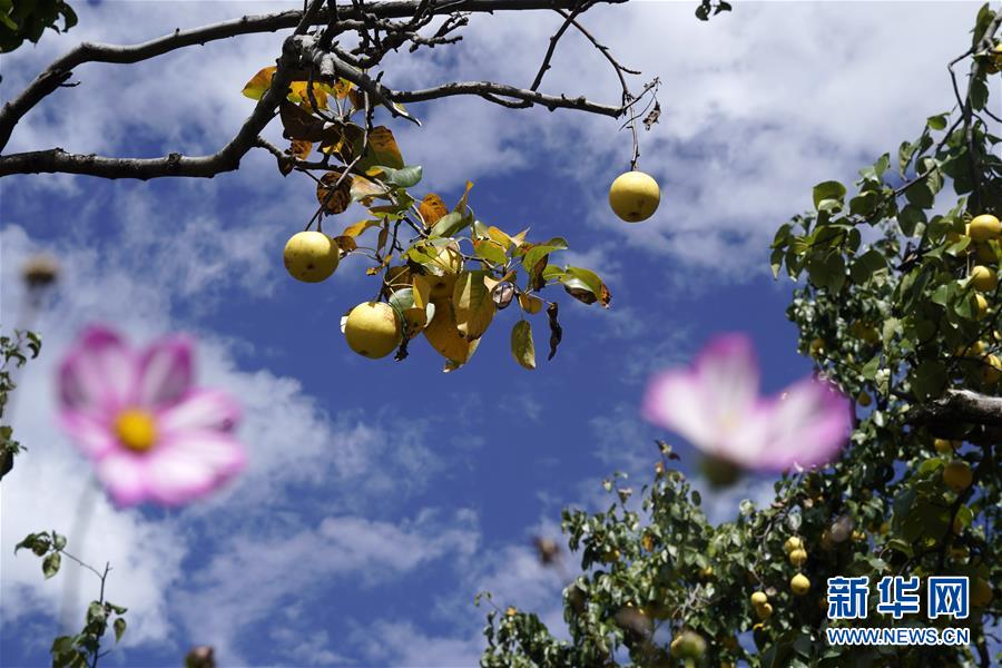 央行就标准化债权类资产认定规则公开征求意见