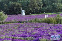 河南多地落地“零门槛”落户 58同城为基层人才