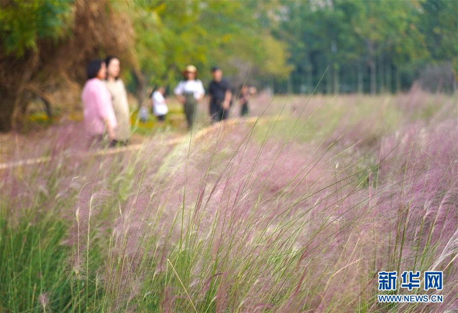 河南多地落地“零门槛”落户 58同城为基层人才