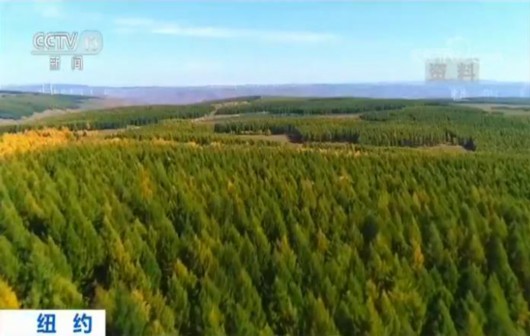 中国连续三年荣获“地球卫士”奖 科技推动绿色