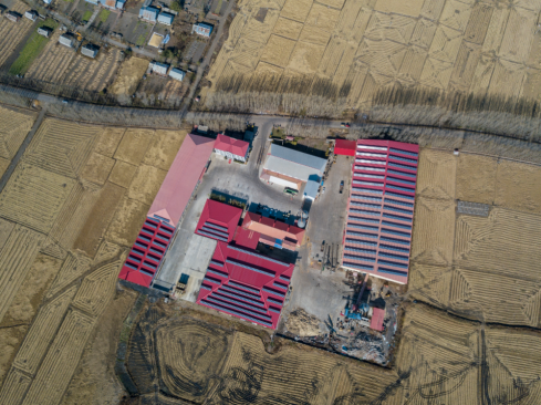 拼购村筹建记：“米二代”迎春，庆安大米生金