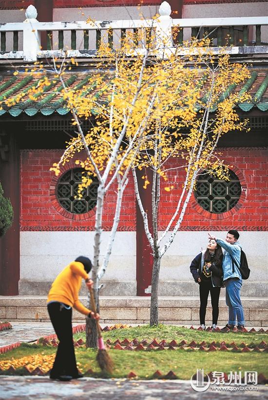 “杏”会金秋！这份福建银杏观赏地全攻略请收好