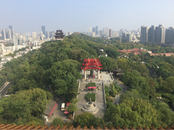 5A景区怎么建5G？假装不是基站！