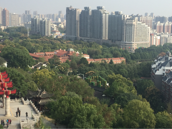 5A景区怎么建5G？假装不是基站！