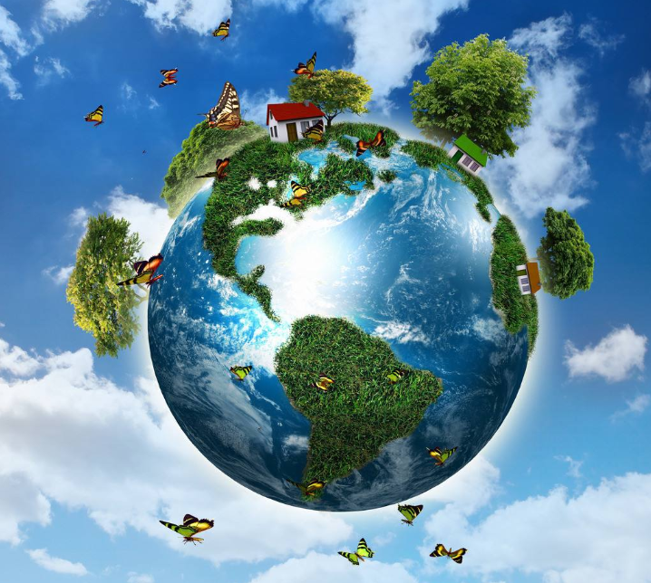 掌站科技借力互联网技术帮助企业建设生态圈