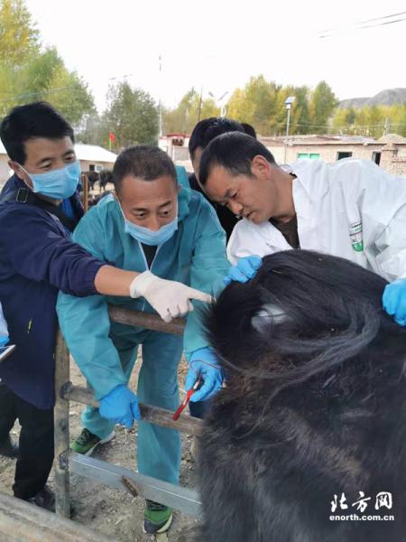 津甘两地科技系统同频共振为国家扶贫日献礼