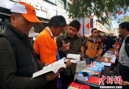 17日，西藏集中展示脱贫攻坚成果。图为西藏残联工作人员向民众介绍残疾人就业政策。　张伟 摄