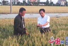 乡土人才——何健：为了乡亲们的土地长出“金子”