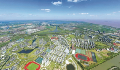 以重磅政策提振产业、人才活力 从“临港旋风”