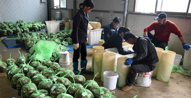 三亚人才购房新政：大专及以上学历可购一套房