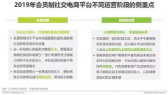 2019年中国社交电商行业分析报告