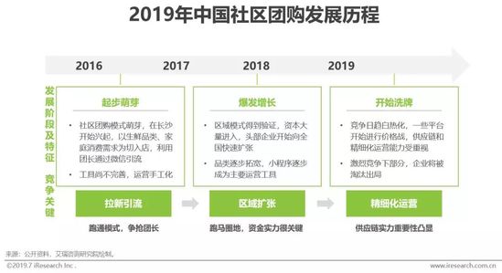 2019年中国社交电商行业分析报告