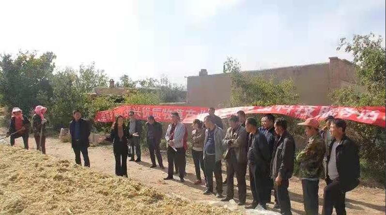 张掖市集中开展优质牧草产业专家服务团科技培