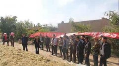 张掖市集中开展优质牧草产业专家服务团科技培