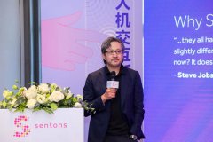 显通科技发布SurfaceWave处理器和手势引擎