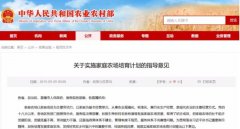 国家新政策！圆你田园梦的好机会来啦！