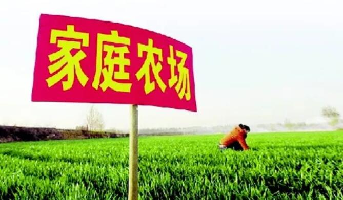 国家新政策！圆你田园梦的好机会来啦！
