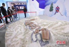 北京科博会首次设立科技冬奥展览