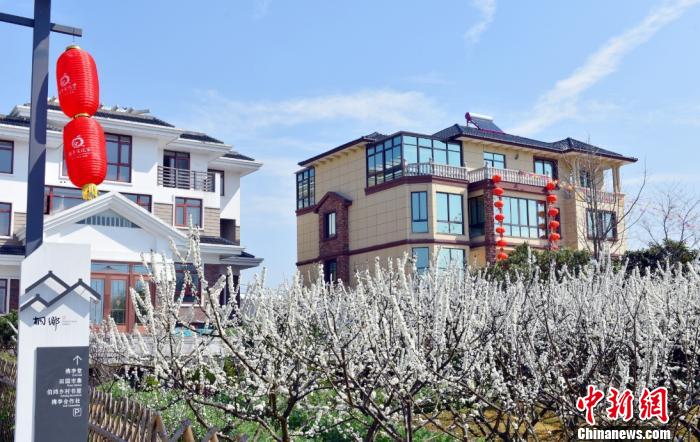 两岸文旅从业者IP观察:网红乡村的引流与持久