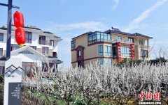 两岸文旅从业者IP观察：网红乡村的引流与持久