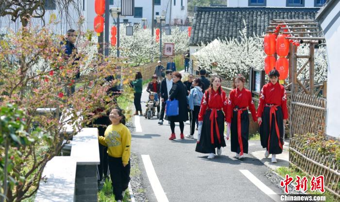 两岸文旅从业者IP观察:网红乡村的引流与持久
