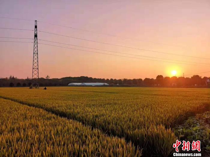 两岸文旅从业者IP观察:网红乡村的引流与持久