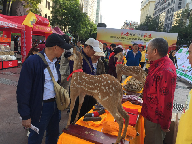 安全用药月 健康强国行
