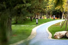 北京科博會15個科技合作項目集中簽約總額超131億元