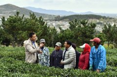 山东乳山：科技特派员助力乡村振兴