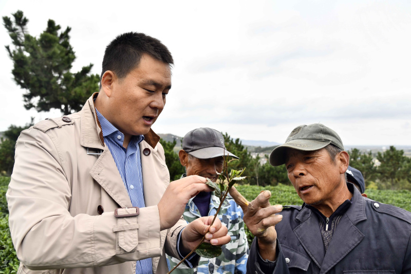 山东乳山：科技特派员助力乡村振兴