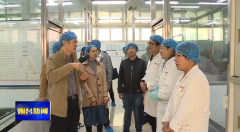 <b>【视频】中央人才工作协调小组专家咨询服务活动暨2019院士专家烟台行活动举</b>