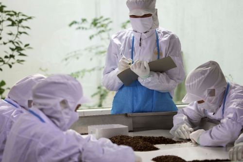 立志做行业标杆,以数字化促生产,小罐茶再获大奖