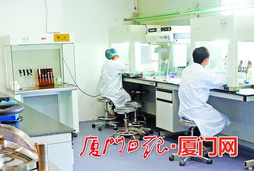 廈門密集出台人才政策數百名海內外高層次人才參加創新創業項目答辯