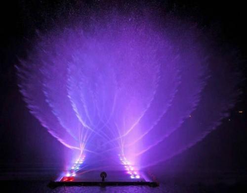 阳春市:抱团推广交流 打造电商“高地”